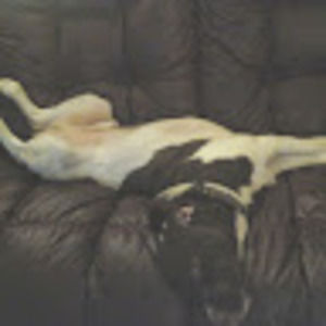 Meet your Posher, Gary